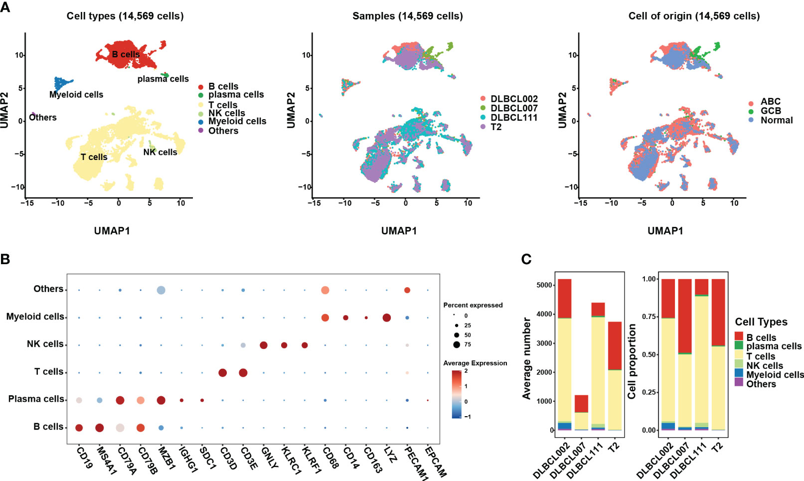 Frontiers | Unraveling the enigma of B cells in diffuse large B