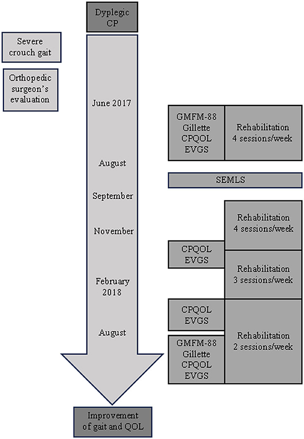 Frontiers  Case report: Intensive rehabilitation program delivered before  and after single-event multilevel surgery in a girl with diplegic cerebral  palsy