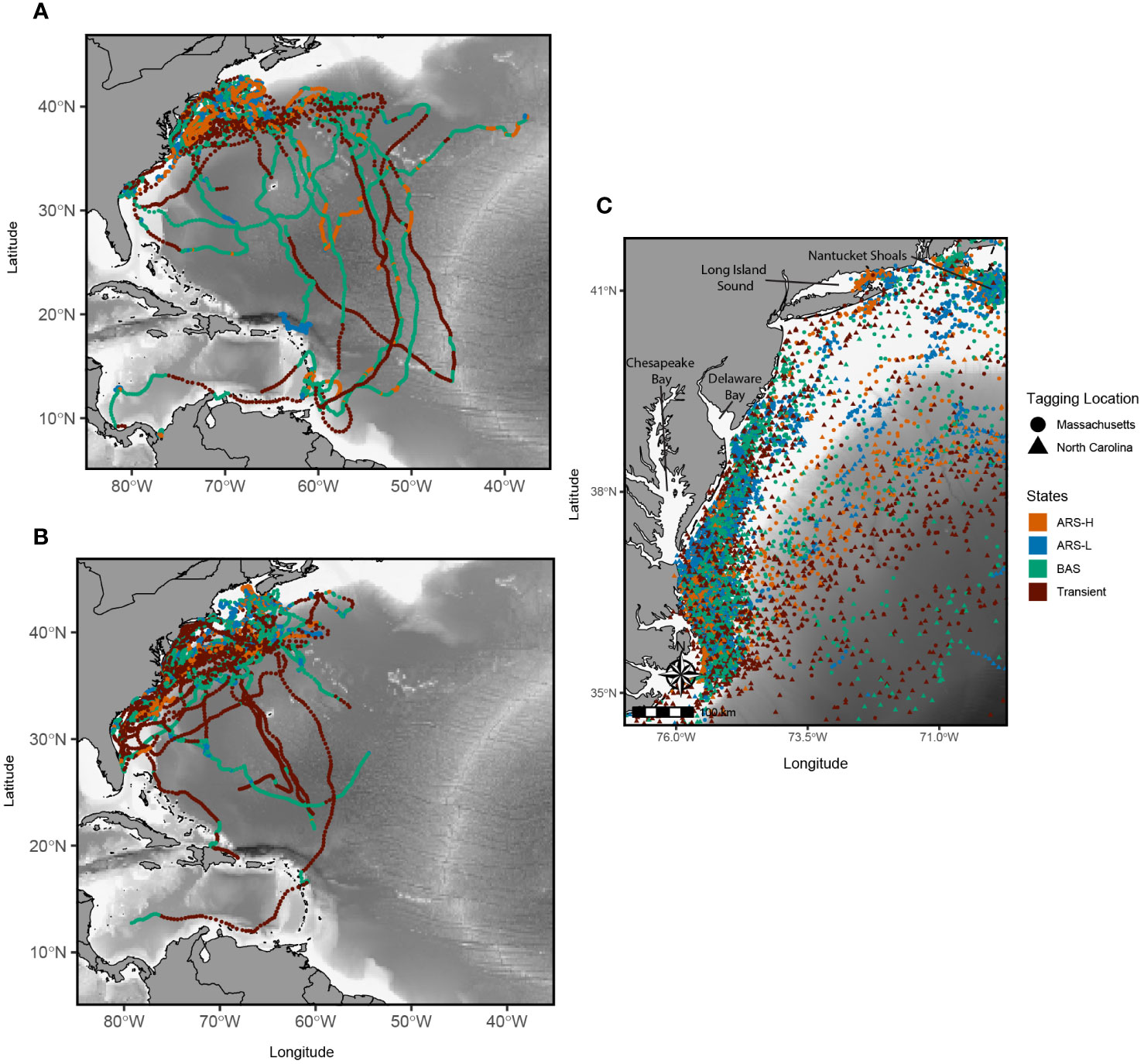 1478px x 1374px - Frontiers | Where the leatherbacks roam: movement behavior analyses reveal  novel foraging locations along the Northwest Atlantic shelf