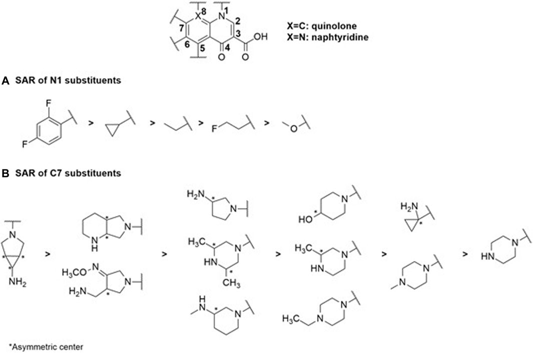 Frontiers | Molecular determinant deciphering of MIC-guided RND 