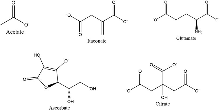 Frontiers | Small organic molecules containing amorphous calcium 