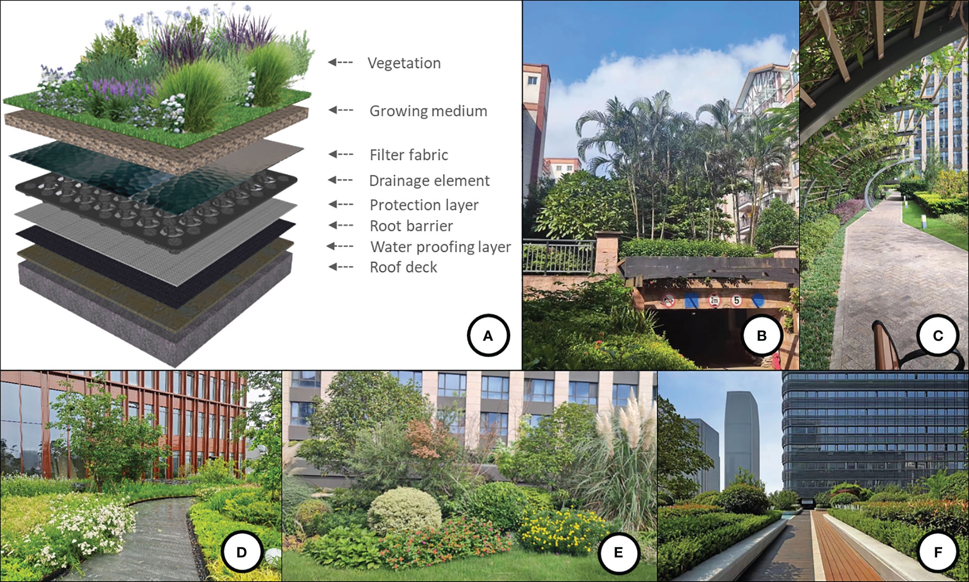 Scientists Used This Rooftop Garden Hack to Grow Bigger Plants