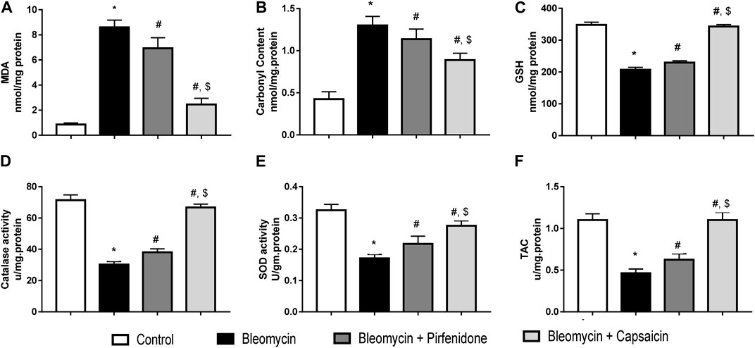 Frontiers | Capsaicin ameliorate pulmonary fibrosis via antioxidant Nrf ...