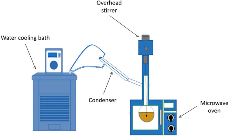 Frontiers | Microwave-assisted Transesterification Of Litchi Chinensis ...