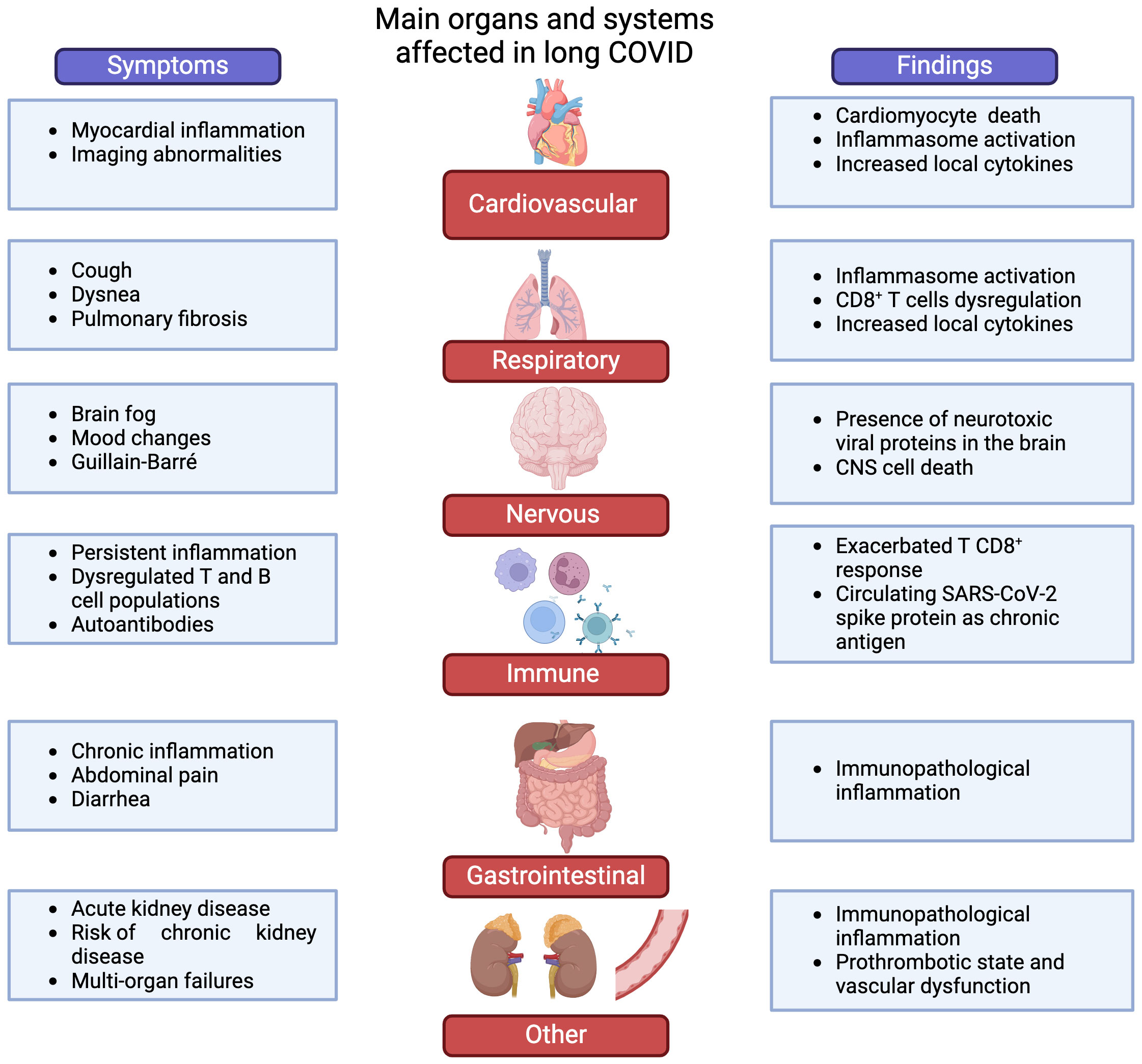 Frontiers Pathophysiological Immunological And Inflammatory Features Of Long Covid