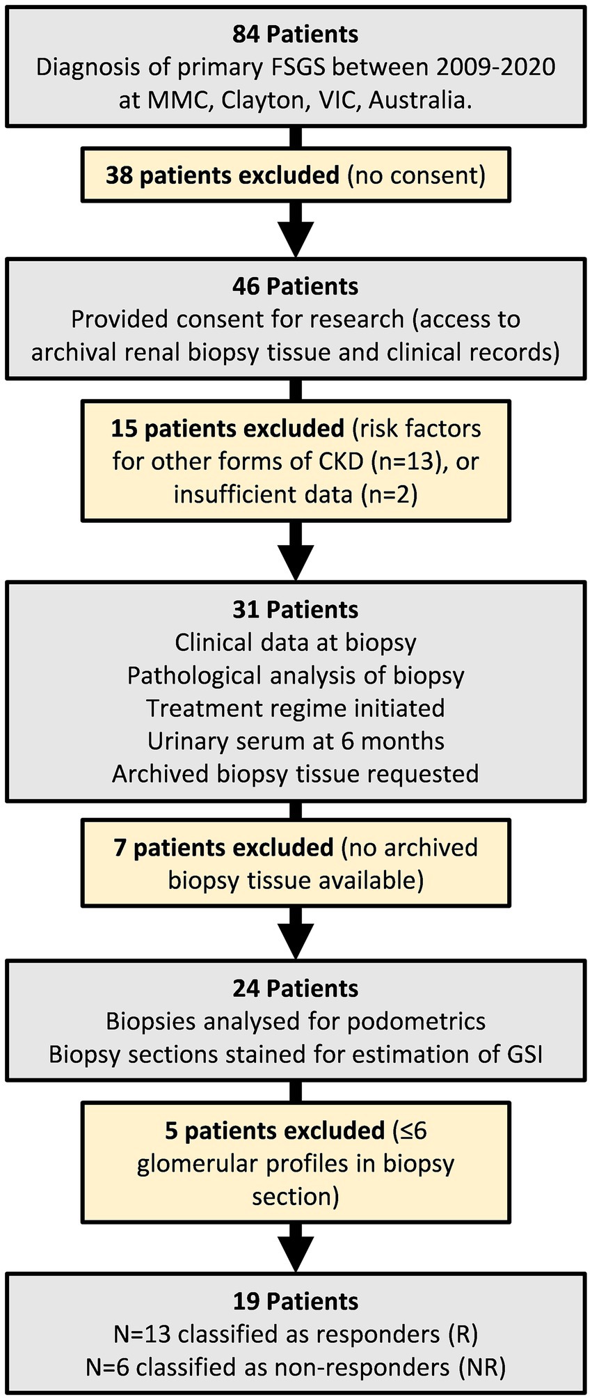 Frontiers | Podocyte number and glomerulosclerosis indices are associated  with the response to therapy for primary focal segmental glomerulosclerosis