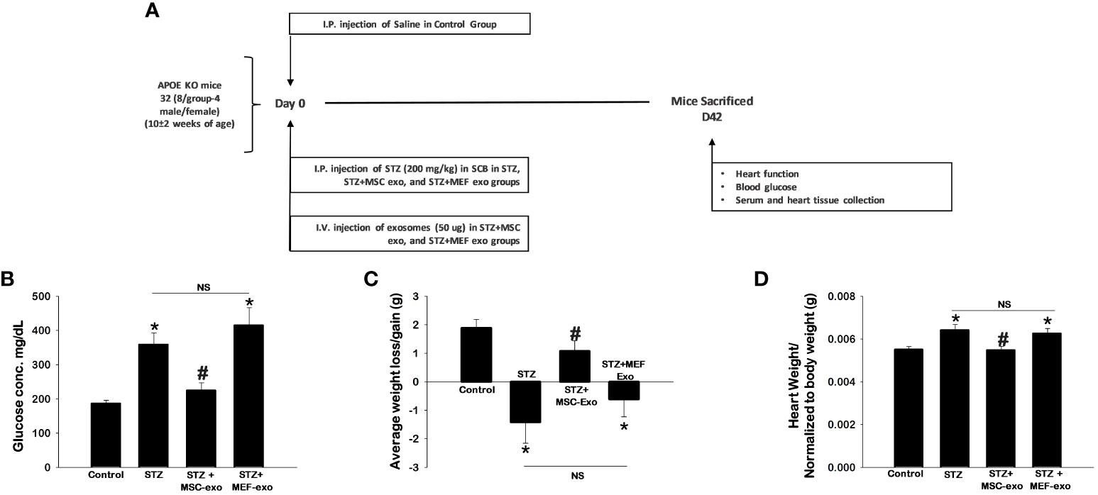 Frontiers | MSC exosomes attenuate sterile inflammation and 