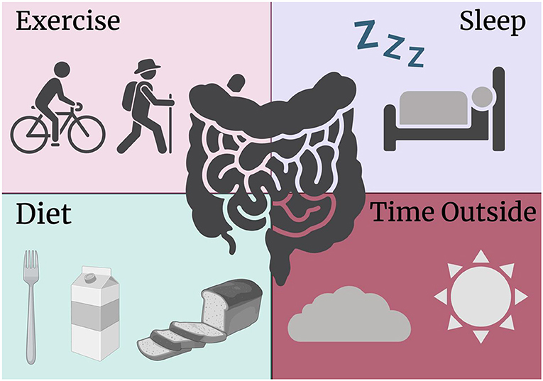 Figure 1 - Behaviors that may influence how often someone has bowel movements, as well as their chances of having IBS, include sleep habits, exercise frequency, the types of foods they eat, and how much time they spend outside (created with BioRender.com).