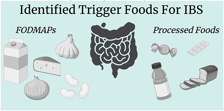 Figure 2 - Several types of foods may potentially trigger IBS, including certain carbohydrates called FODMAPs, which cannot be digested, and processed (junk) foods, which frequently contain added chemicals and dyes (created with BioRender.com).