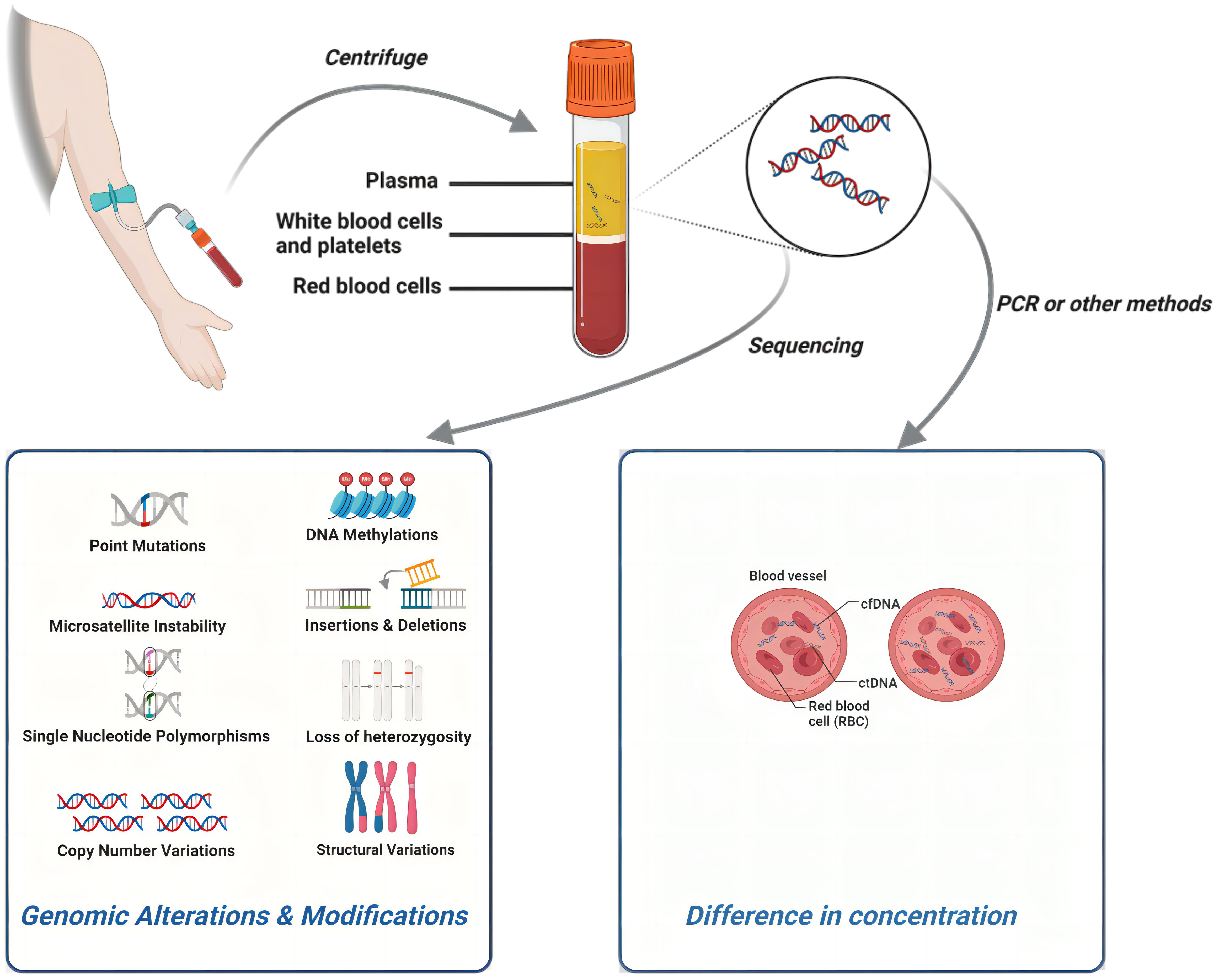 Frontiers Circulating Tumor Dna From Discovery To Clinical Application In Breast Cancer 7170