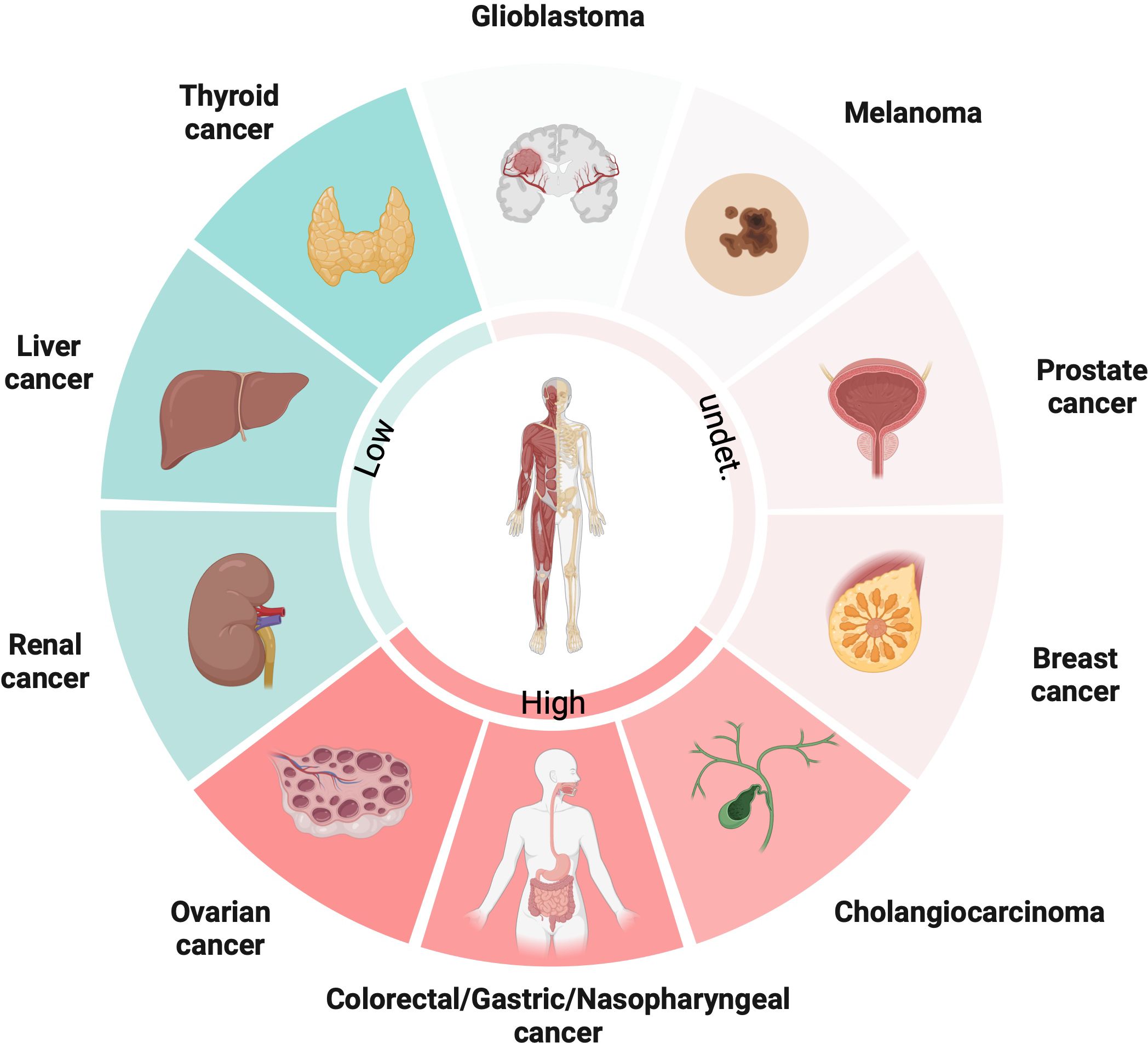 Frontiers | From metabolism to malignancy: the multifaceted role 