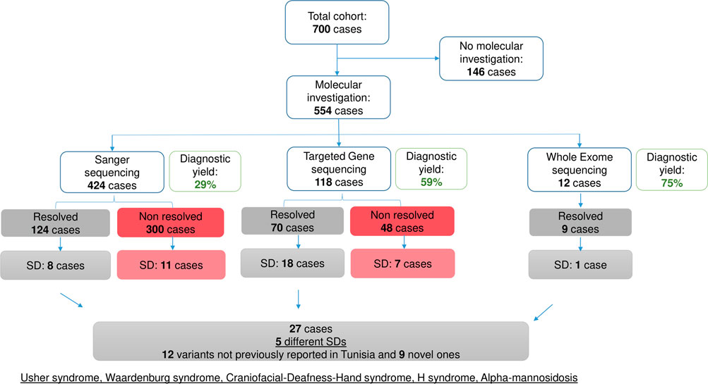 Frontiers | Current phenotypic and genetic spectrum of syndromic ...