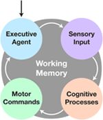 Frontiers | A neural network-based exploratory learning and motor ...