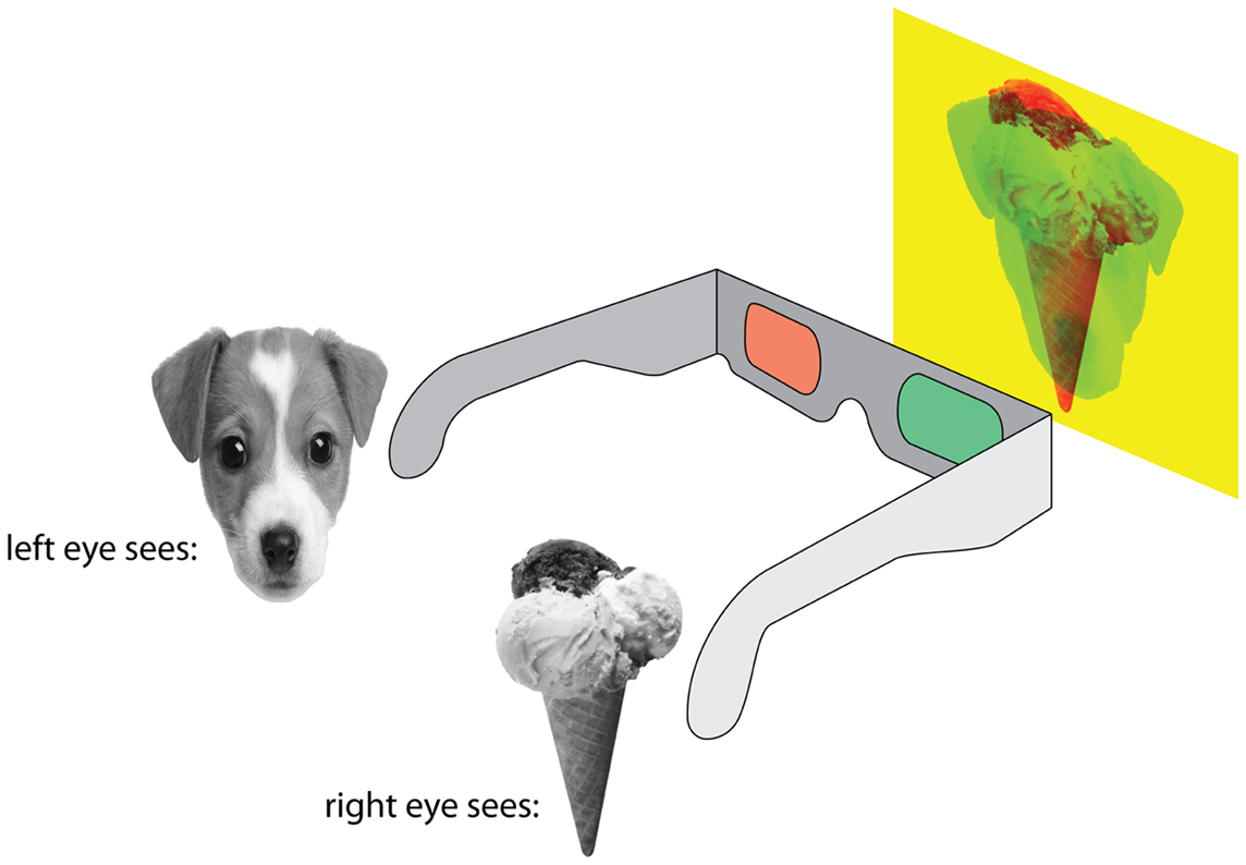 图1 -有很多方法可以显示两个不同的图像的两只眼睛,左和右眼睛看到不同的东西。