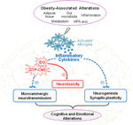 Frontiers | Role of neuroinflammation in the emotional and cognitive ...