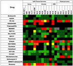 Frontiers | Preclinical Childhood Sarcoma Models: Drug Efficacy ...