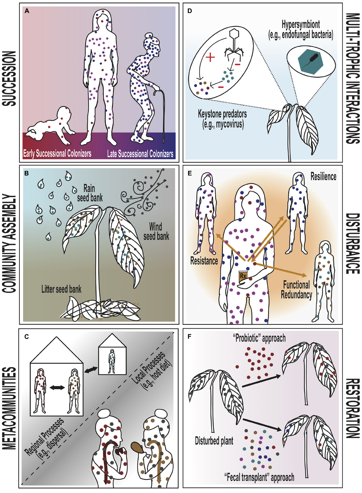 Into the Wild: Animal Microbiomes in Conservation