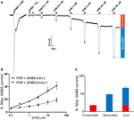 Frontiers | Functional Characterization Of Ivermectin Binding Sites In ...