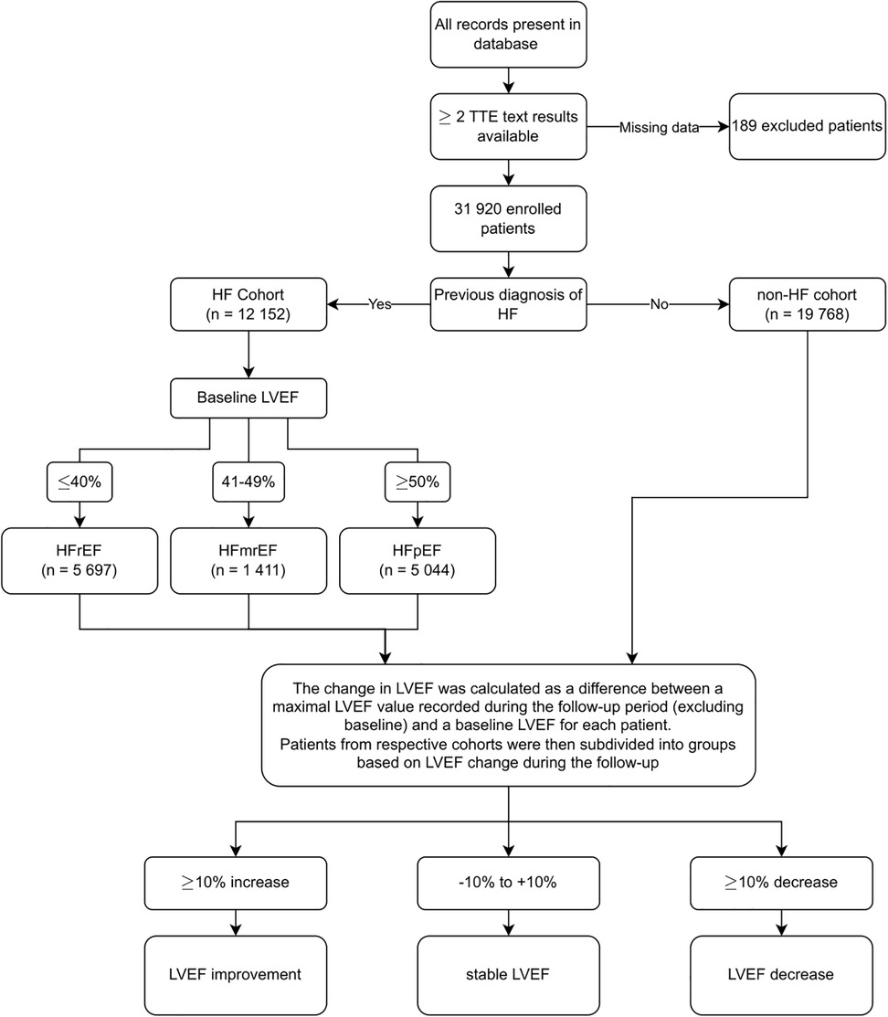 Frontiers | Temporal left ventricular ejection fraction variations and ...