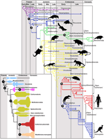 Frontiers | Olfaction, navigation, and the origin of isocortex ...