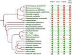 fpls-06-00880-g010.gif