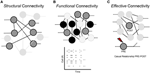 Frontiers | Functional Connectivity In In Vitro Neuronal Assemblies ...