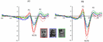 Frontiers | Dynamic Functional Brain Connectivity For Face Perception ...