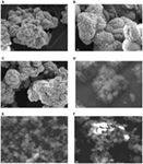 Frontiers | Mineral Carbonation of Phosphogypsum Waste for Production ...