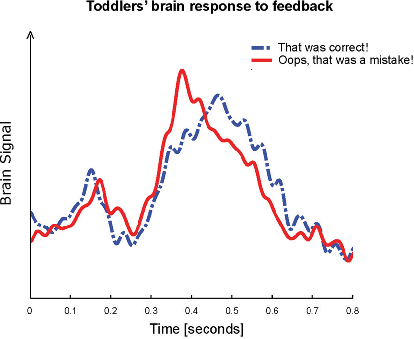 图3 -我们的结果说明:在已知的反馈处理区域测量幼儿的大脑信号。