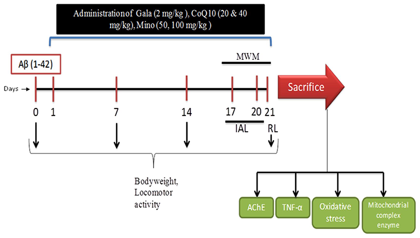 Hidden Answers To Coenzyme Q10 Revealed