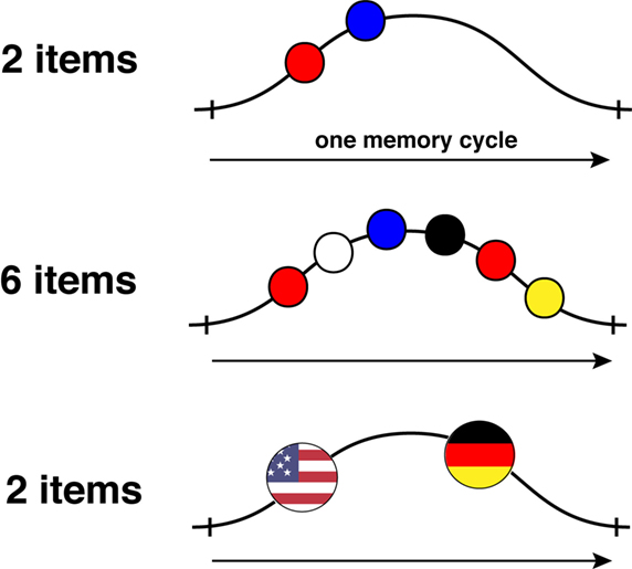 图2——分块信息在一个WM循环:让我们说你要记住一组不同的颜色以正确的顺序。
