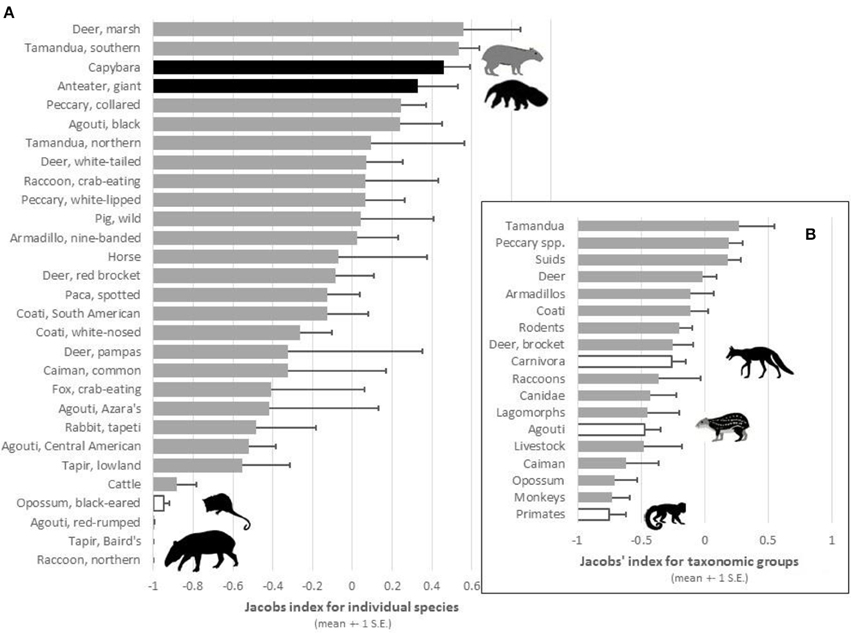 Frontiers | Prey Preferences of the Jaguar Panthera onca Reflect the ...