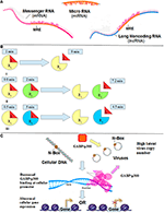 Frontiers | 3-Econsystems: MicroRNAs, Receptors, and Latent Viruses ...