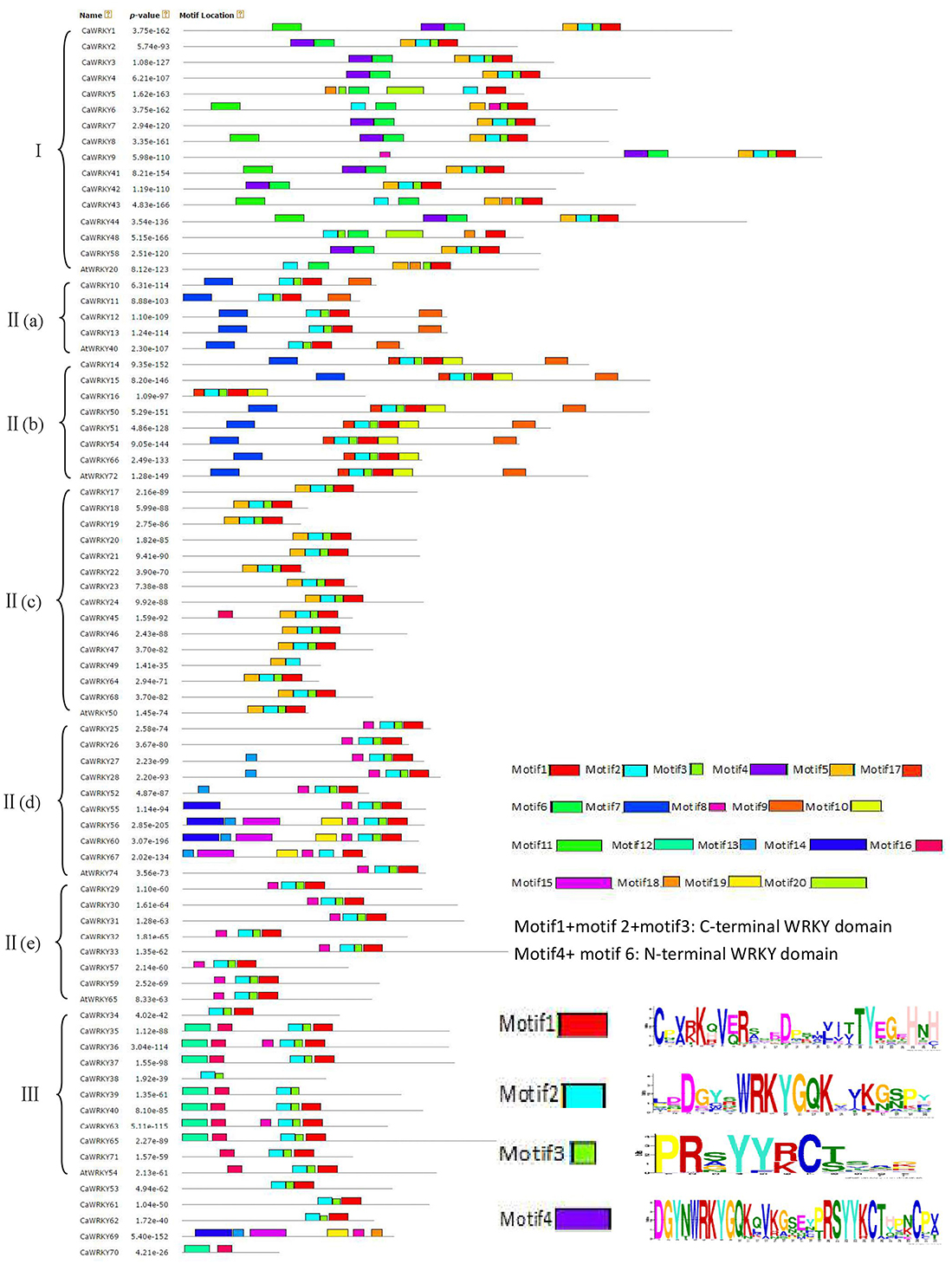 Frontiers | Genome-Wide Identification and Expression Analysis of WRKY ...