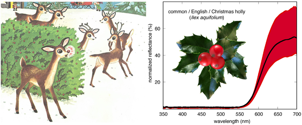 Reindeer Vision Explains The Benefits Of A Glowing Nose