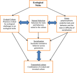 Frontiers | Evoked Culture and Evoked Nature: The Promise of Gene ...