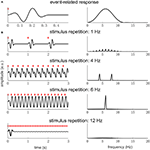 Frontiers | Interpretations of Frequency Domain Analyses of Neural ...