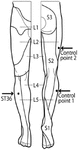 Frontiers | Sustained Effects of Acupuncture Stimulation Investigated ...