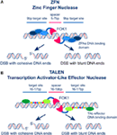 Frontiers | Novel Biological Approaches for Testing the Contributions ...