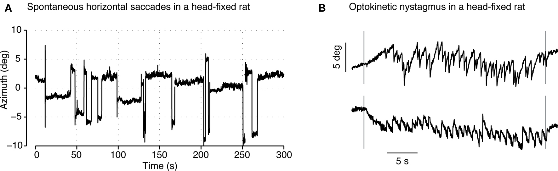 Frontiers | A Self-Calibrating, Camera-Based Eye Tracker for the ...