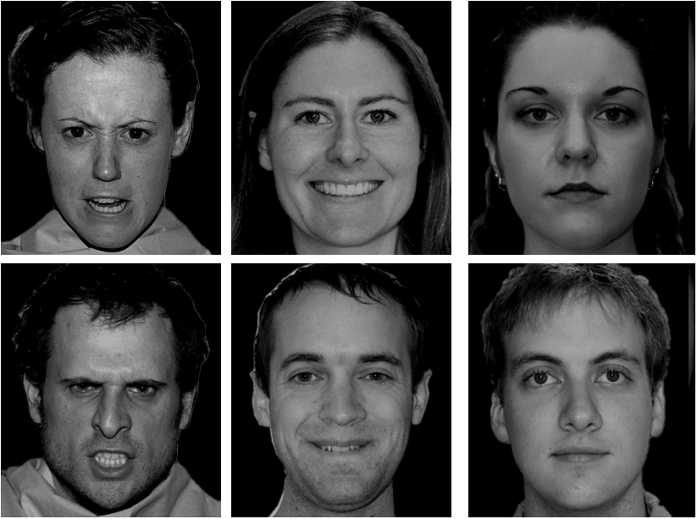 Frontiers Interference Among The Processing Of Facial Emotion Face Race And Face Gender