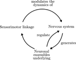 Frontiers | Extended Neural Metastability in an Embodied Model of ...