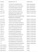 30 Pcr Virtual Lab Worksheet Answers - Worksheet Resource Plans