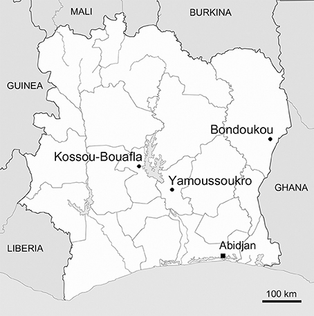Frontiers  Two Major Clades of Bradyrhizobia Dominate Symbiotic  Interactions with Pigeonpea in Fields of Côte d'Ivoire