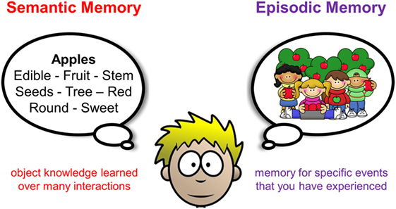 declarative memory examples