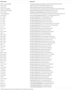 Frontiers | Four Inducible Promoters for Controlled Gene Expression in ...