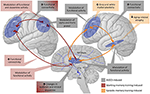 Frontiers | Activating Developmental Reserve Capacity Via Cognitive ...