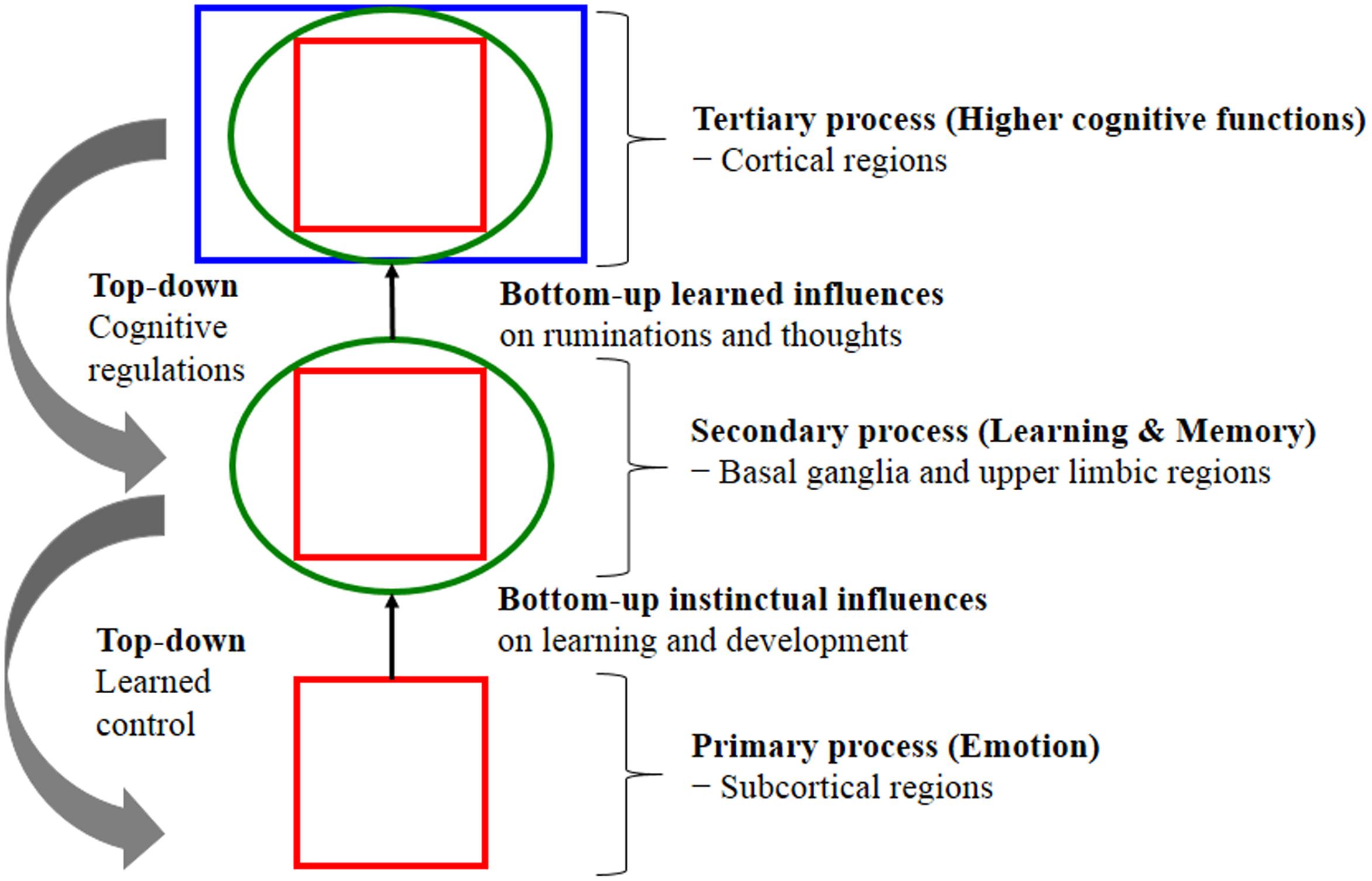 Frontiers The Influences Of Emotion On Learning And Memory Psychology
