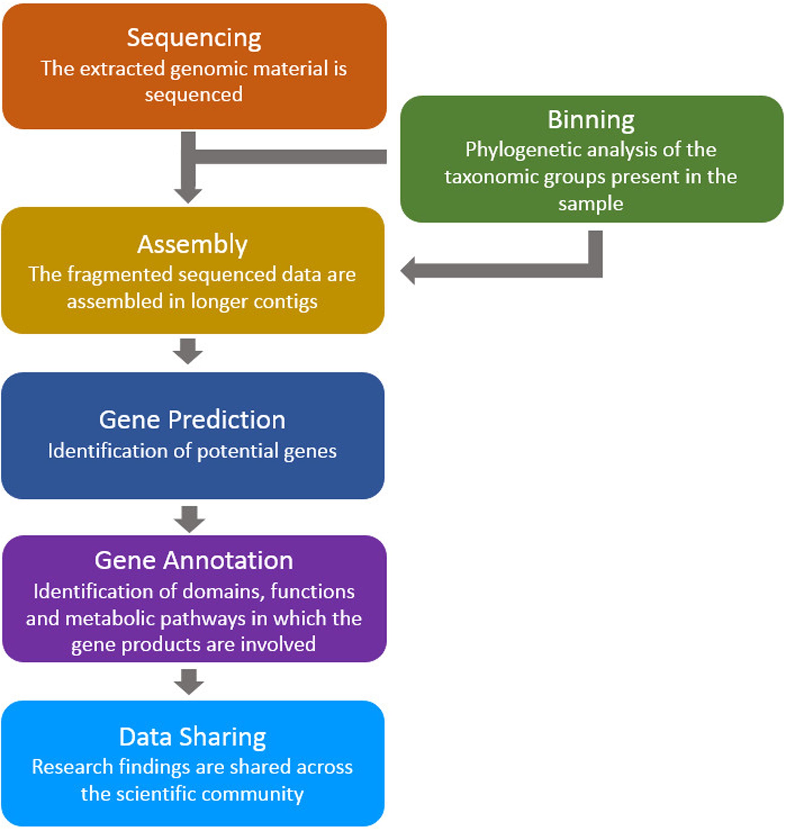 Applications of low coverage sequence data to genomics of species