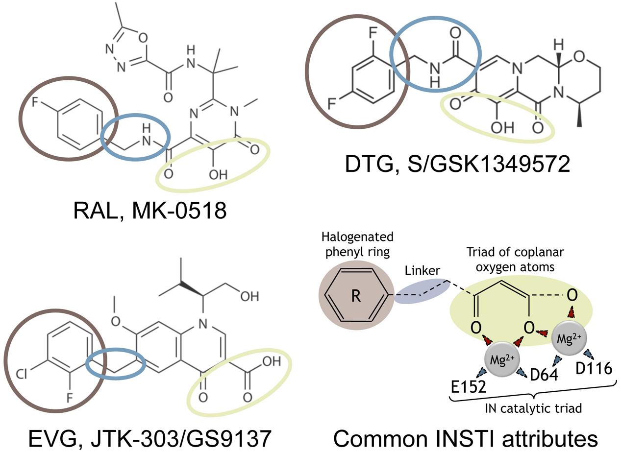 Frontiers | Different Pathways Leading to Integrase Inhibitors Resistance